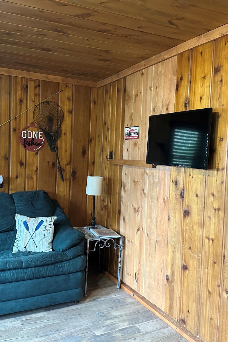 Cabin 2 Living New3